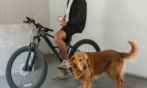 a man sitting on a bike next to a dog